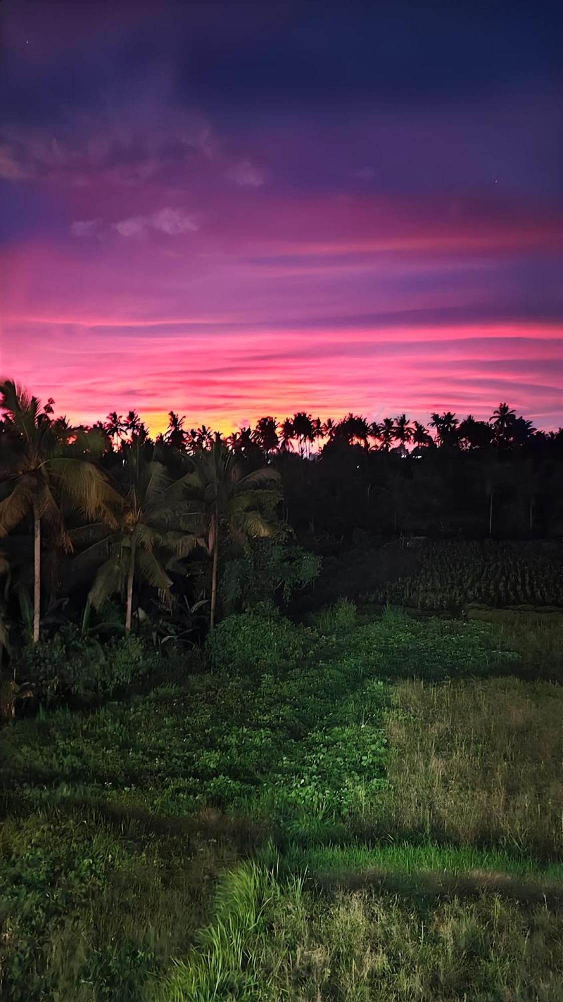 Wadari Retreat Villa Ubud Экстерьер фото
